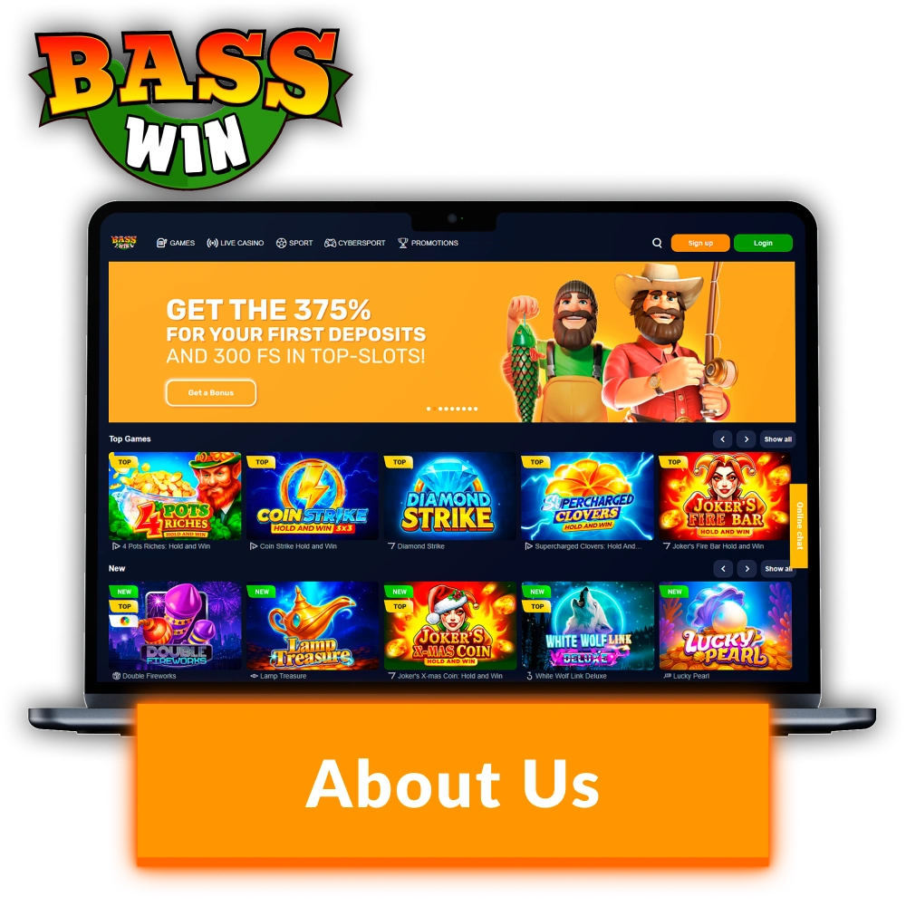 Learn more About Us and the history of Basswin services.