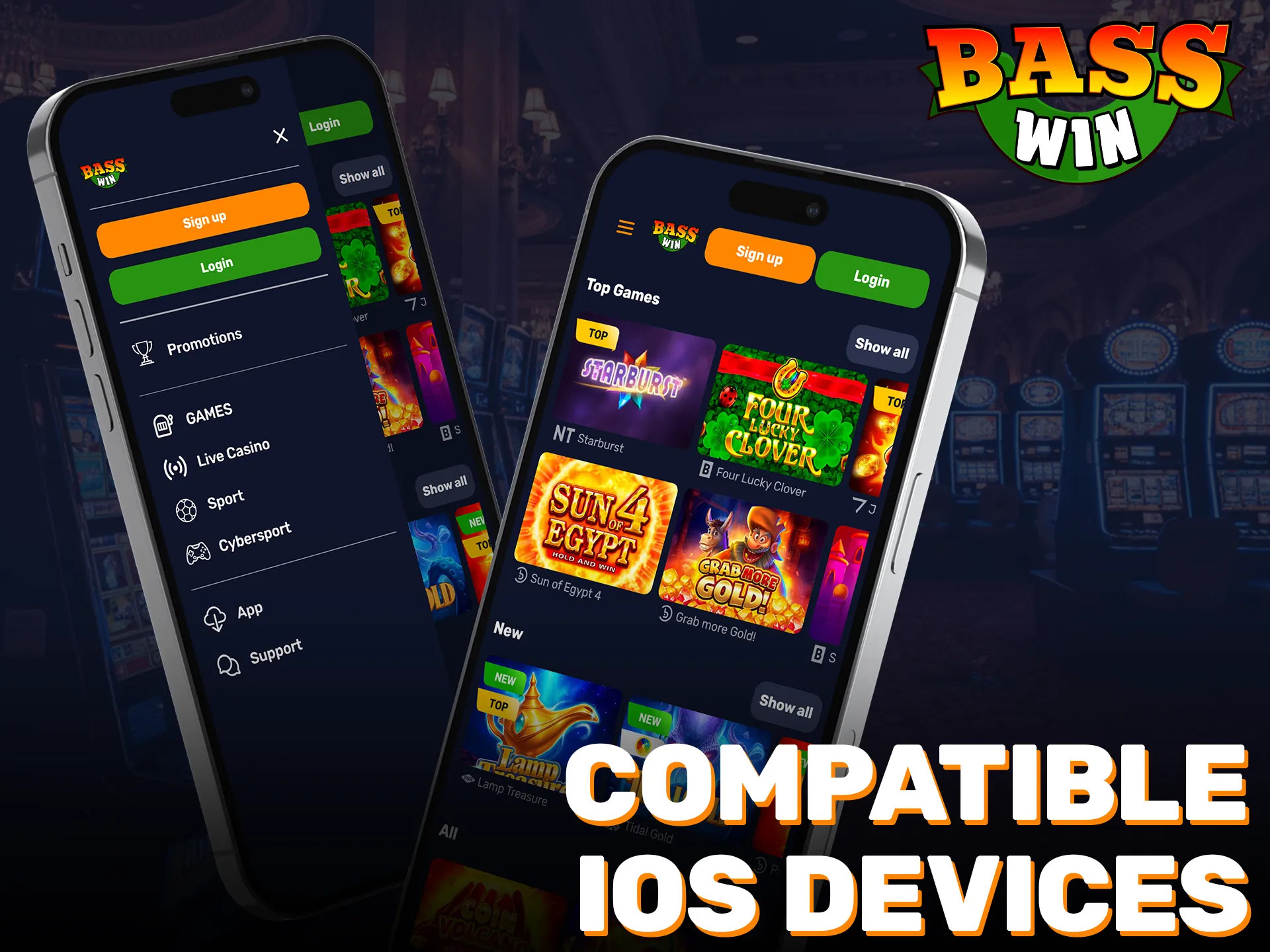 Find compatible iOS devices to ensure the Basswin app works perfectly.