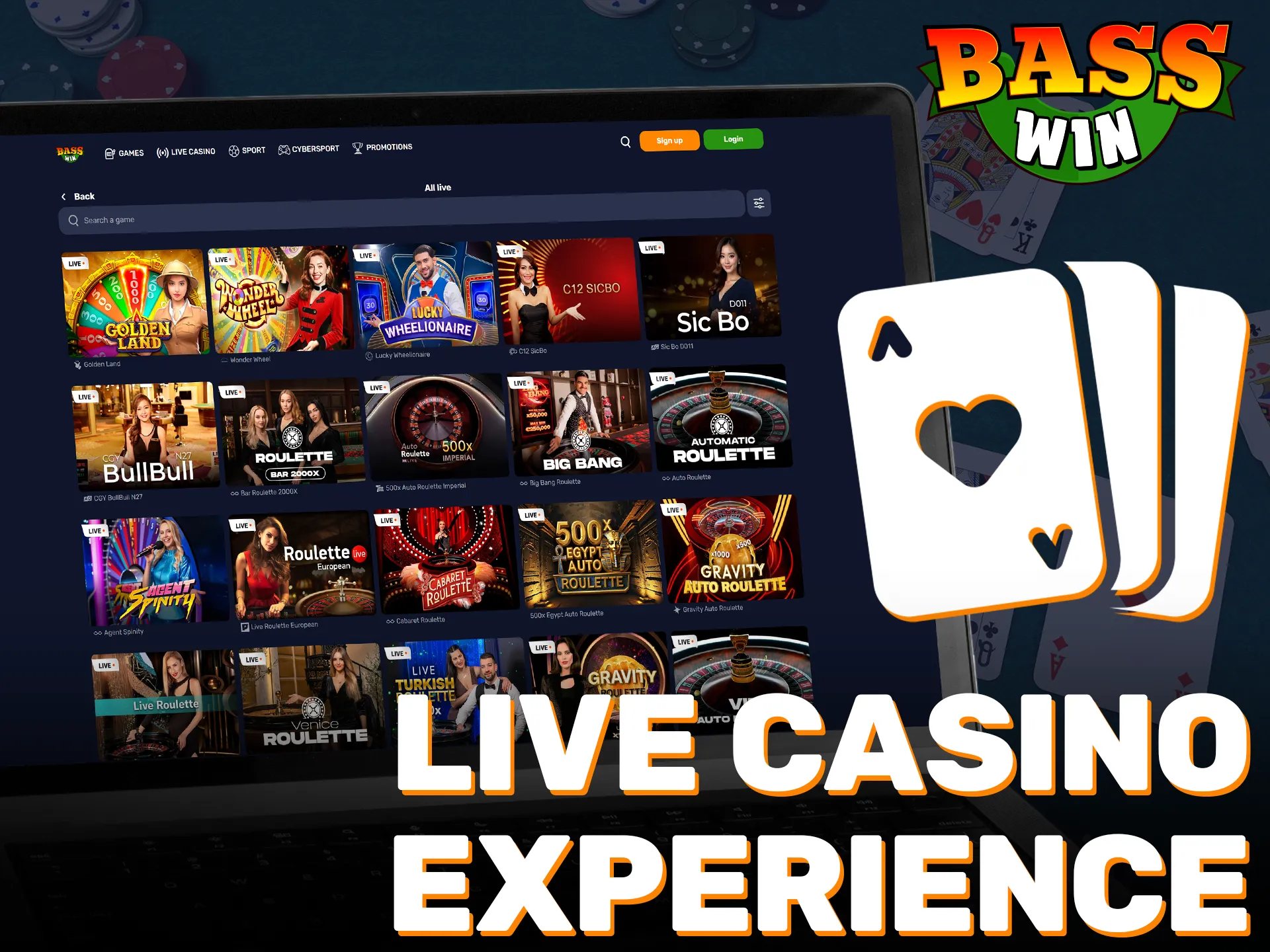 Immerse yourself in the authentic Basswin live casino gaming atmosphere.