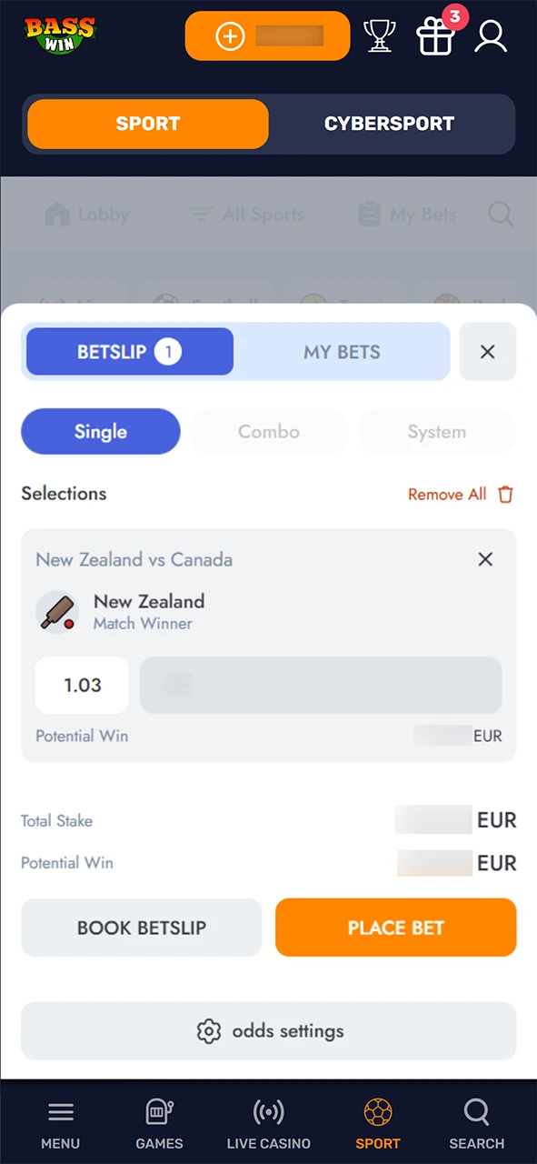 Place your cricket bet at Basswin and enjoy the victory.