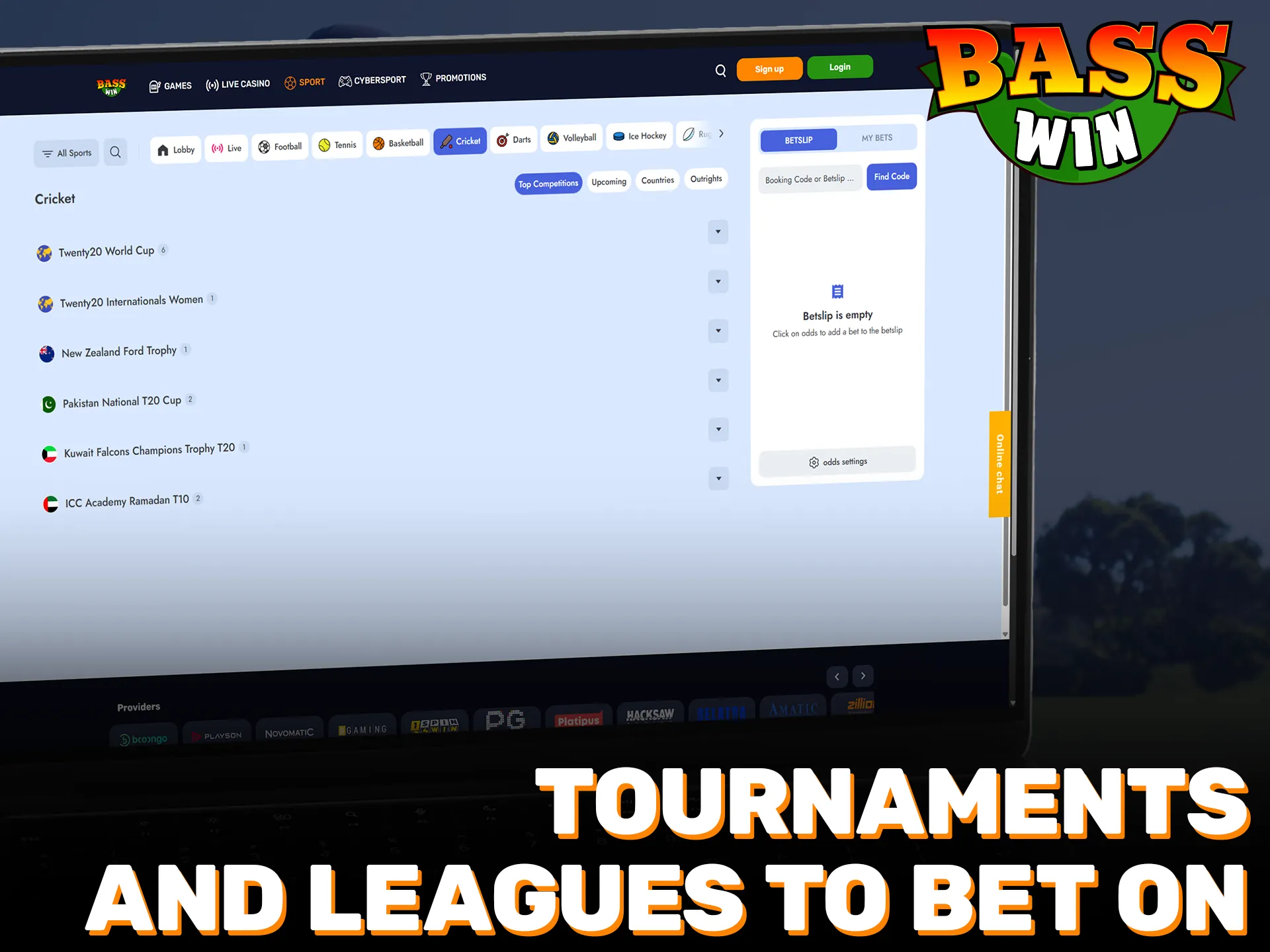 Explore various cricket tournaments and leagues available for betting at Basswin.