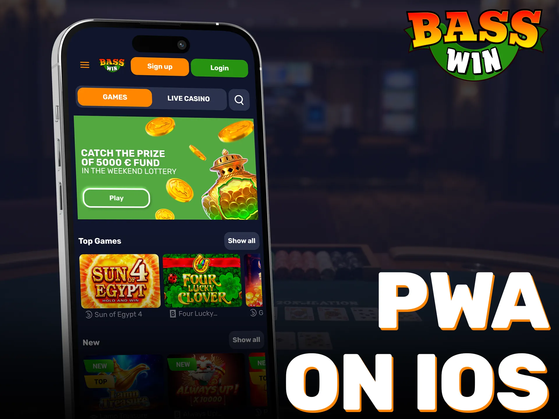 Install the Basswin iOS PWA to access all mobile gambling features.