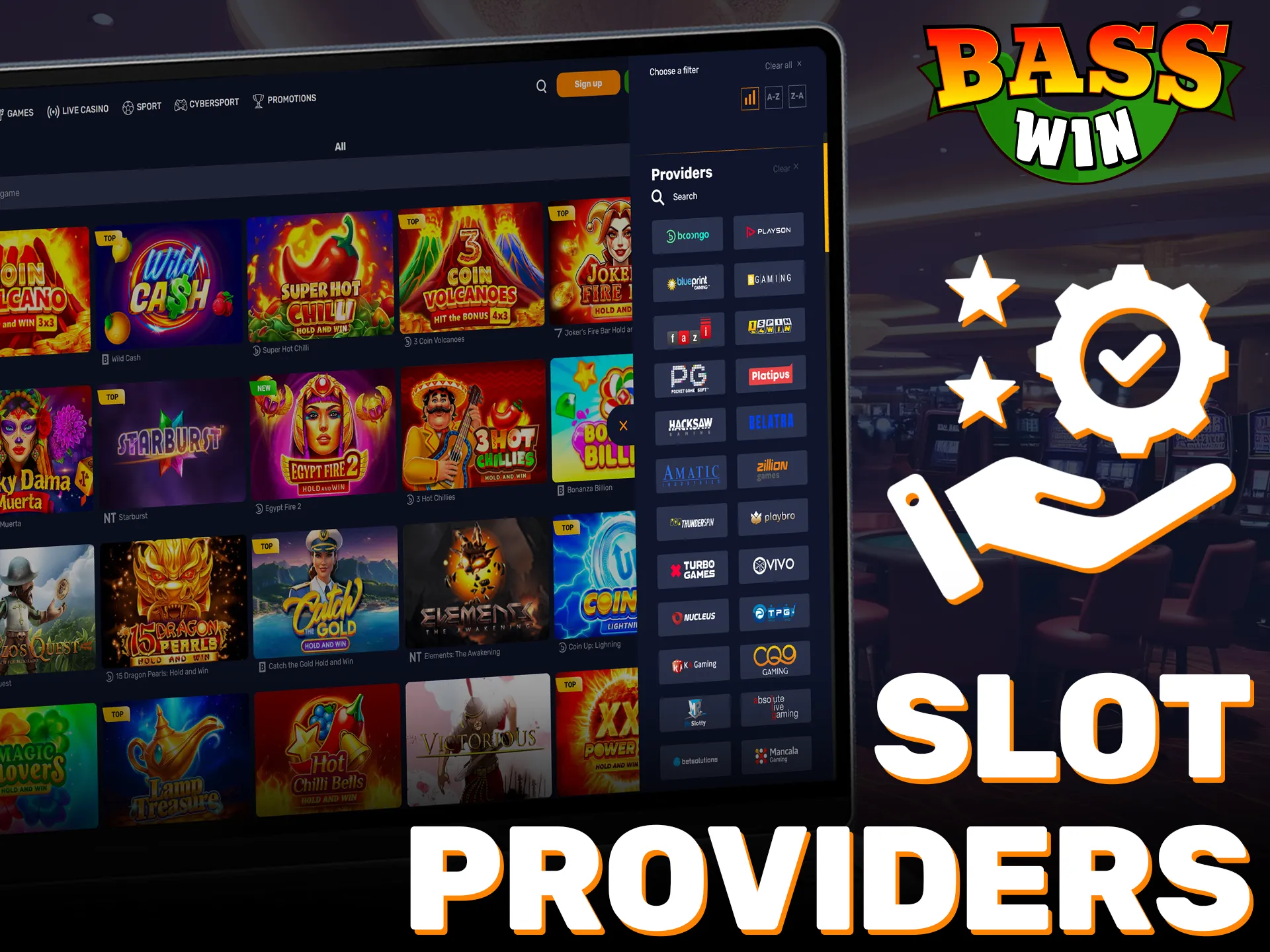 Check out the top slot providers that power the Basswin lobby.