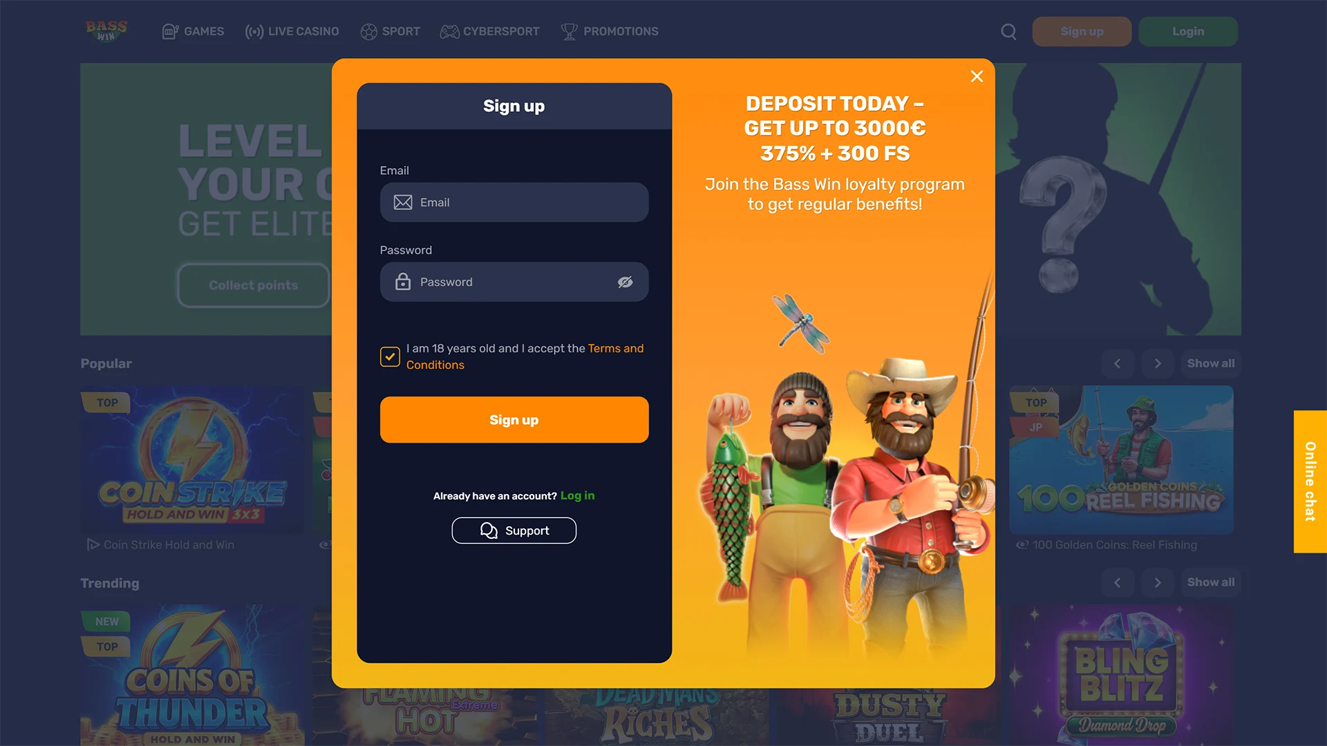 Complete the registration interface on Basswin to unlock exciting casino features.